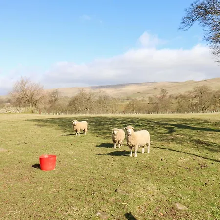 Rayson Hall Barns 펜션